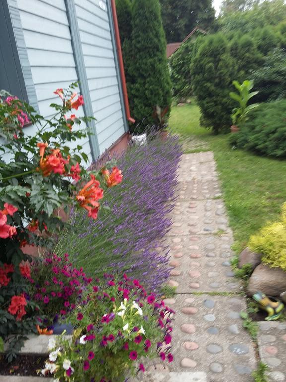 Vetros House Leilighet Klaipėda Eksteriør bilde